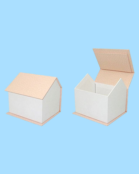 DIY Painting House Style Rigid Box - Creative packaging solutions